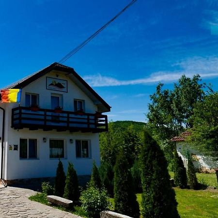 Pensiunea Casa Ghica Valea Salciilor Ngoại thất bức ảnh